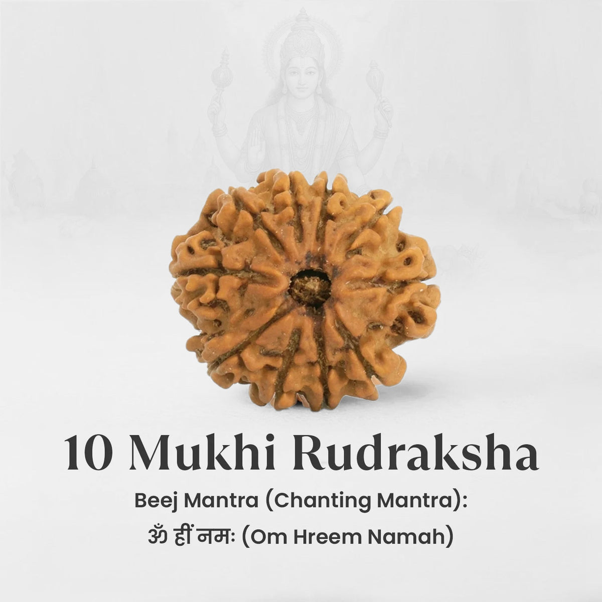 VASTUKOSHA 10 Mukhi Nepal origin Rudraksha bead with natural brown texture and distinct faces for spiritual practice
