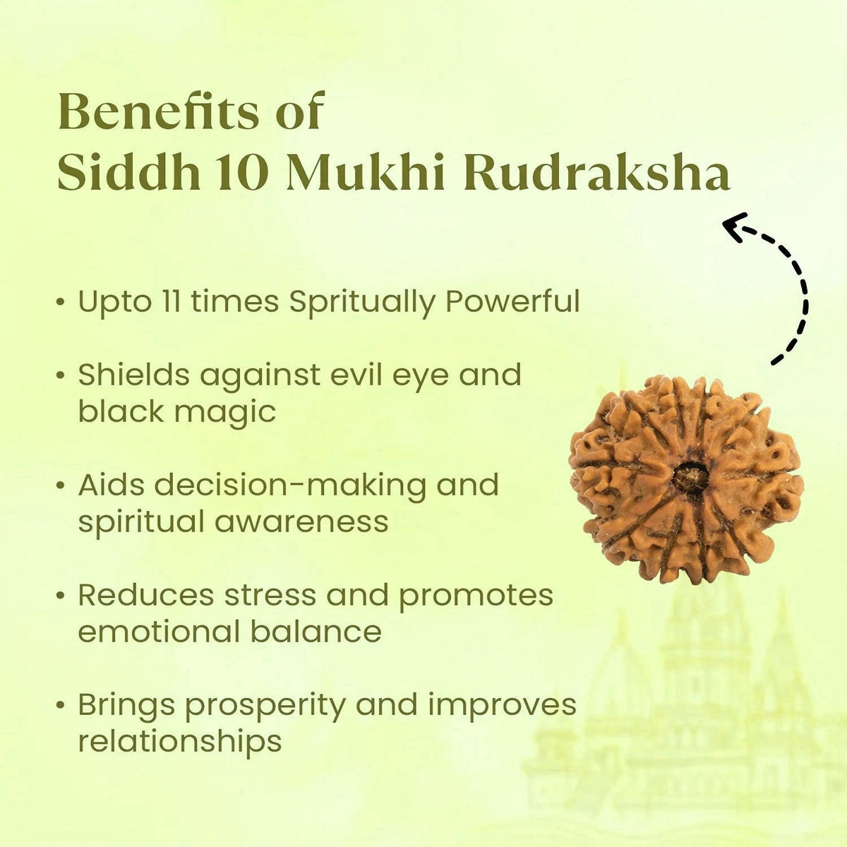 Vastukosha 10 Mukhi Rudraksha bead from Nepal with natural texture and ten faces for spiritual meditation practice