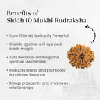 VASTUKOSHA 10 Mukhi Nepal origin Rudraksha bead with spiritual benefits listed on a light background