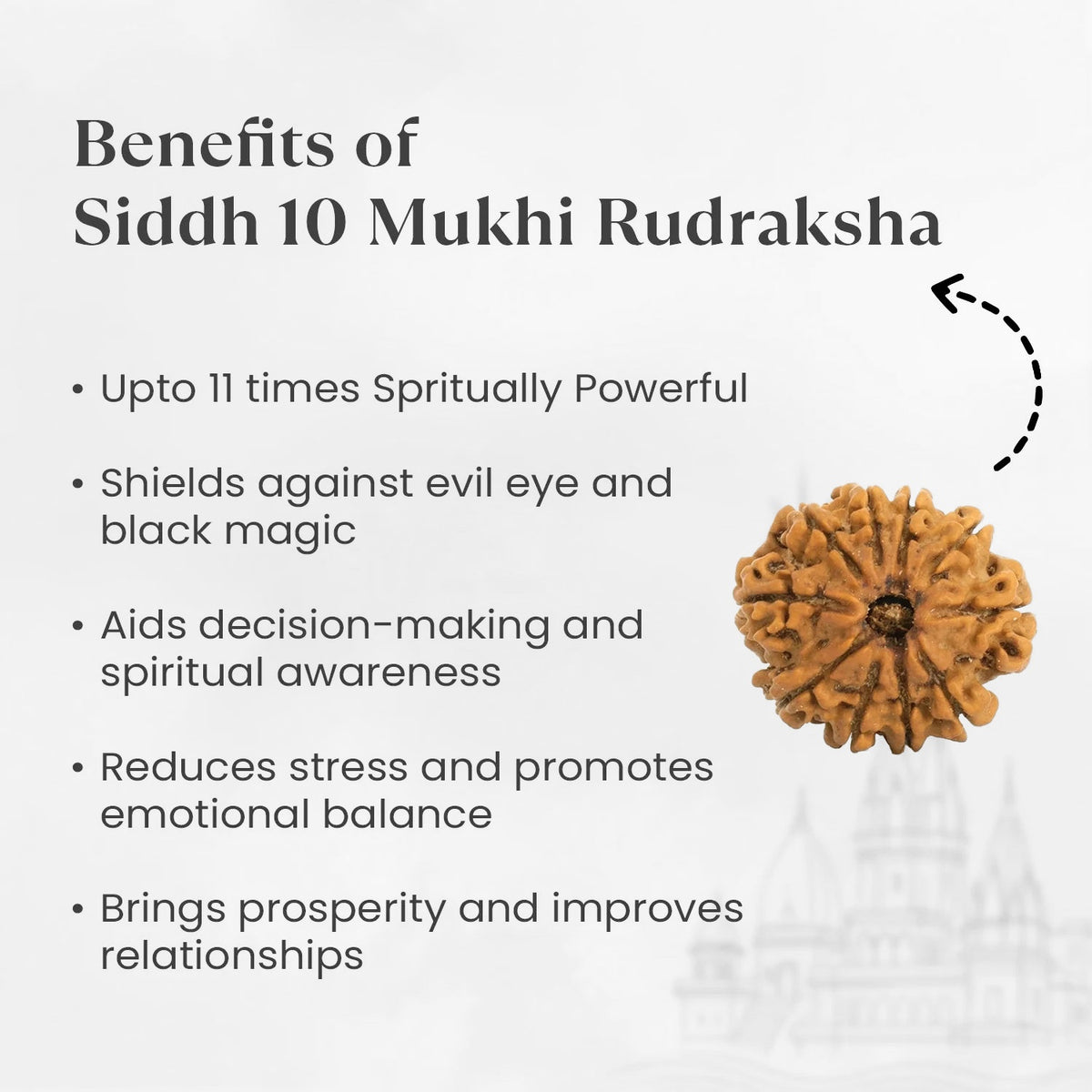 VASTUKOSHA 10 Mukhi Nepal origin Rudraksha bead with spiritual benefits listed on a light background