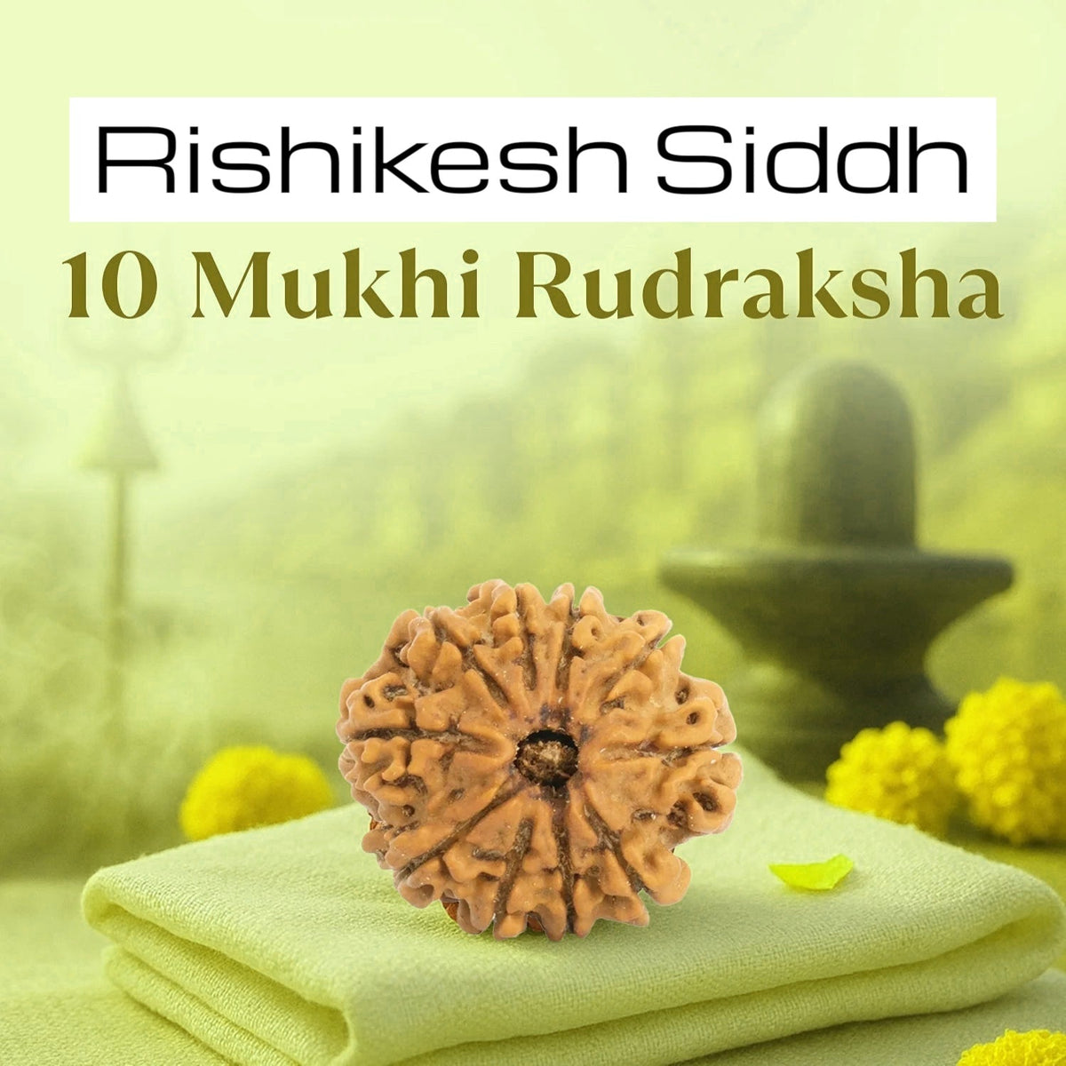 VASTUKOSHA 10 Mukhi Nepal origin Rudraksha bead with natural texture, resting on a green cloth for spiritual practice.