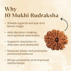 VASTUKOSHA 10 Mukhi Rudraksha bead from Nepal with ten natural faces, displayed with spiritual benefit text.