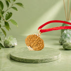 VASTUKOSHA 10 Mukhi Nepal origin Rudraksha bead pendant with gold cap on a red thread necklace