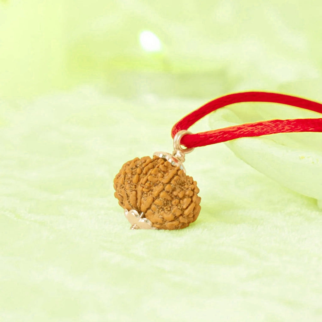 VASTUKOSHA 10 Mukhi Nepal origin Rudraksha bead pendant with a red cord for spiritual meditation and prayer