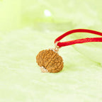 VASTUKOSHA 10 Mukhi Nepal origin Rudraksha bead pendant with a red cord for spiritual meditation and prayer