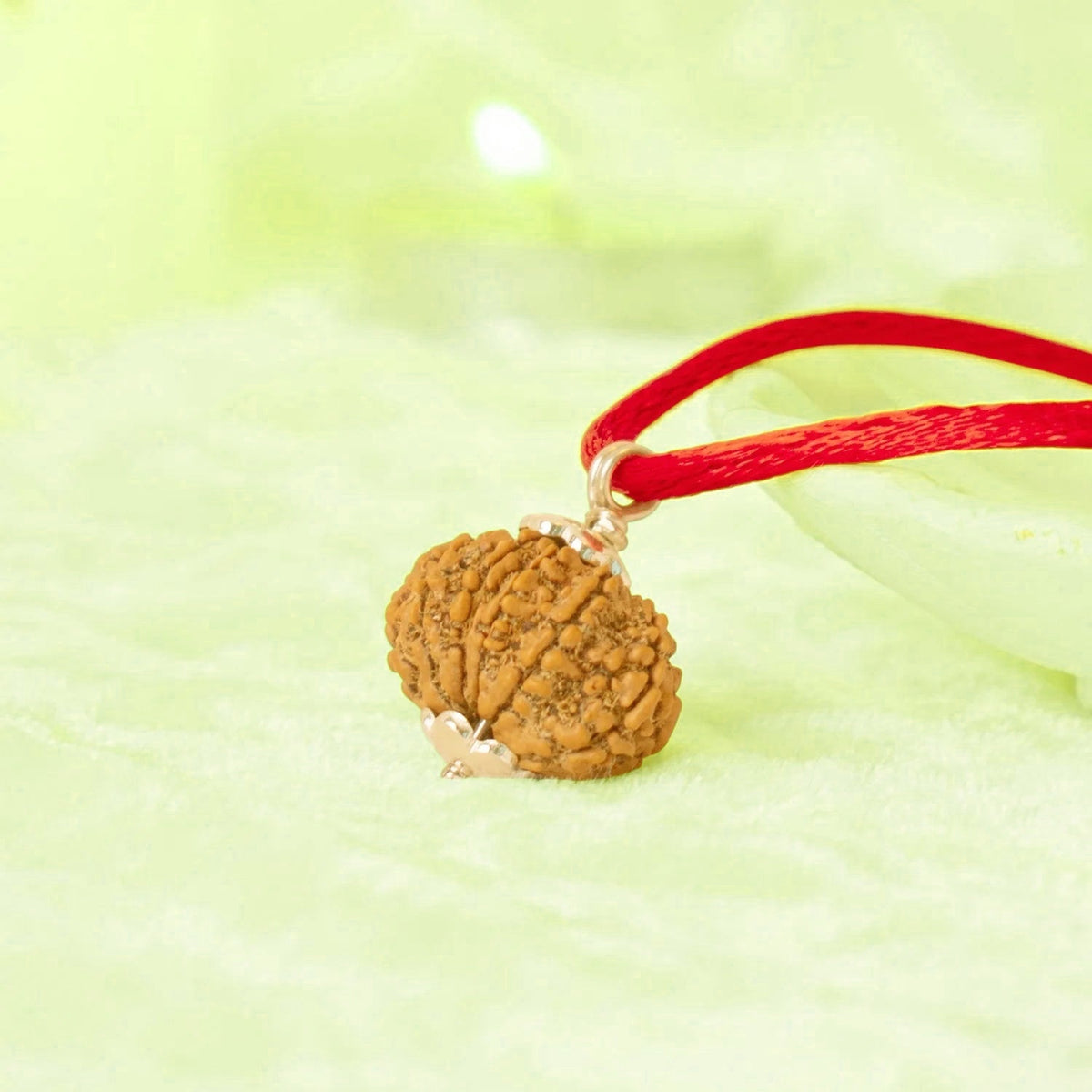 VASTUKOSHA 10 Mukhi Nepal origin Rudraksha bead pendant with a red cord for spiritual meditation and prayer
