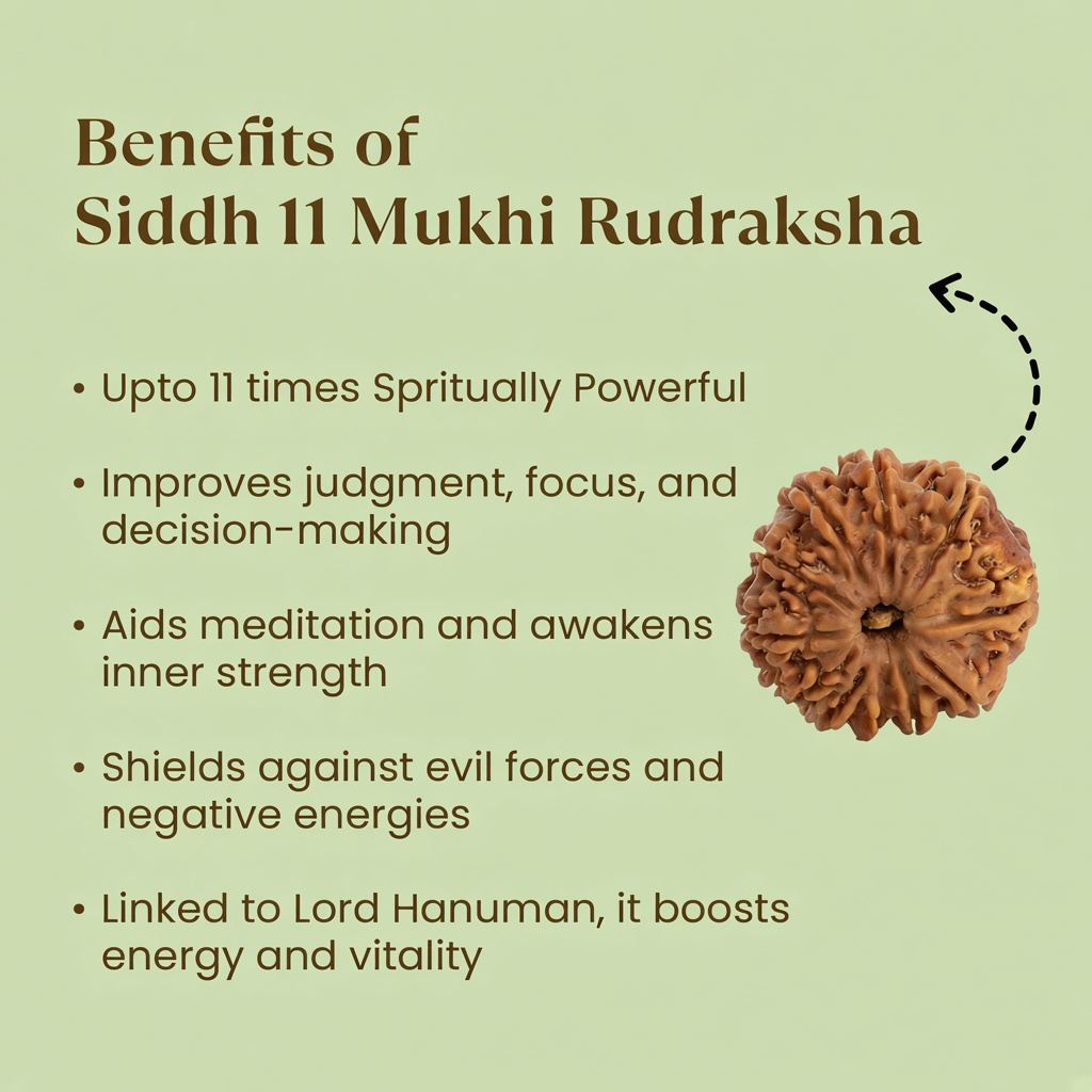 VASTUKOSHA 11 Mukhi Nepal Rudraksha bead with text listing spiritual benefits and association with Lord Hanuman