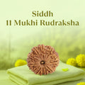 VASTUKOSHA Siddh 11 Mukhi Nepal Rudraksha bead on a soft green cloth for meditation and spiritual practice.