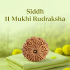 VASTUKOSHA Siddh 11 Mukhi Nepal Rudraksha bead on a soft green cloth for meditation and spiritual practice.