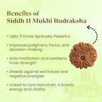 VASTUKOSHA 11 Mukhi Nepal Rudraksha bead with natural brown texture, featured in a spiritual benefits infographic.