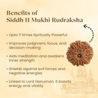 VASTUKOSHA 11 Mukhi Nepal origin Rudraksha bead with natural textured surface for meditation and spiritual practice