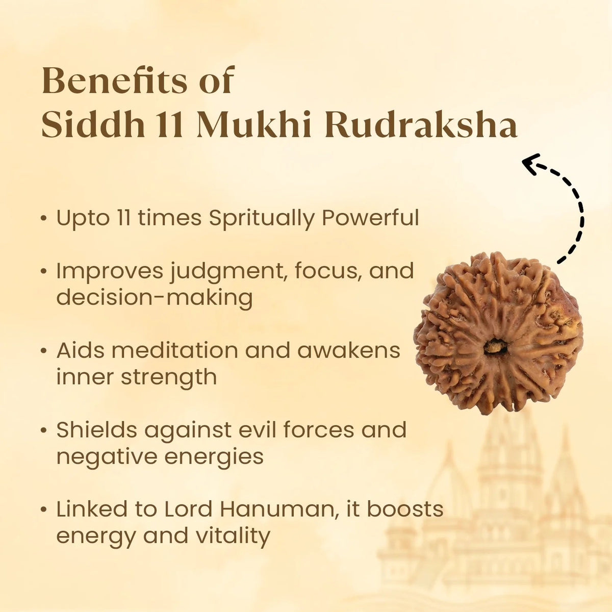 VASTUKOSHA 11 Mukhi Nepal origin Rudraksha bead with natural textured surface for meditation and spiritual practice
