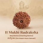VASTUKOSHA 11 Mukhi Nepal Rudraksha bead with natural deep grooves, symbolizing Lord Hanuman for spiritual practice.