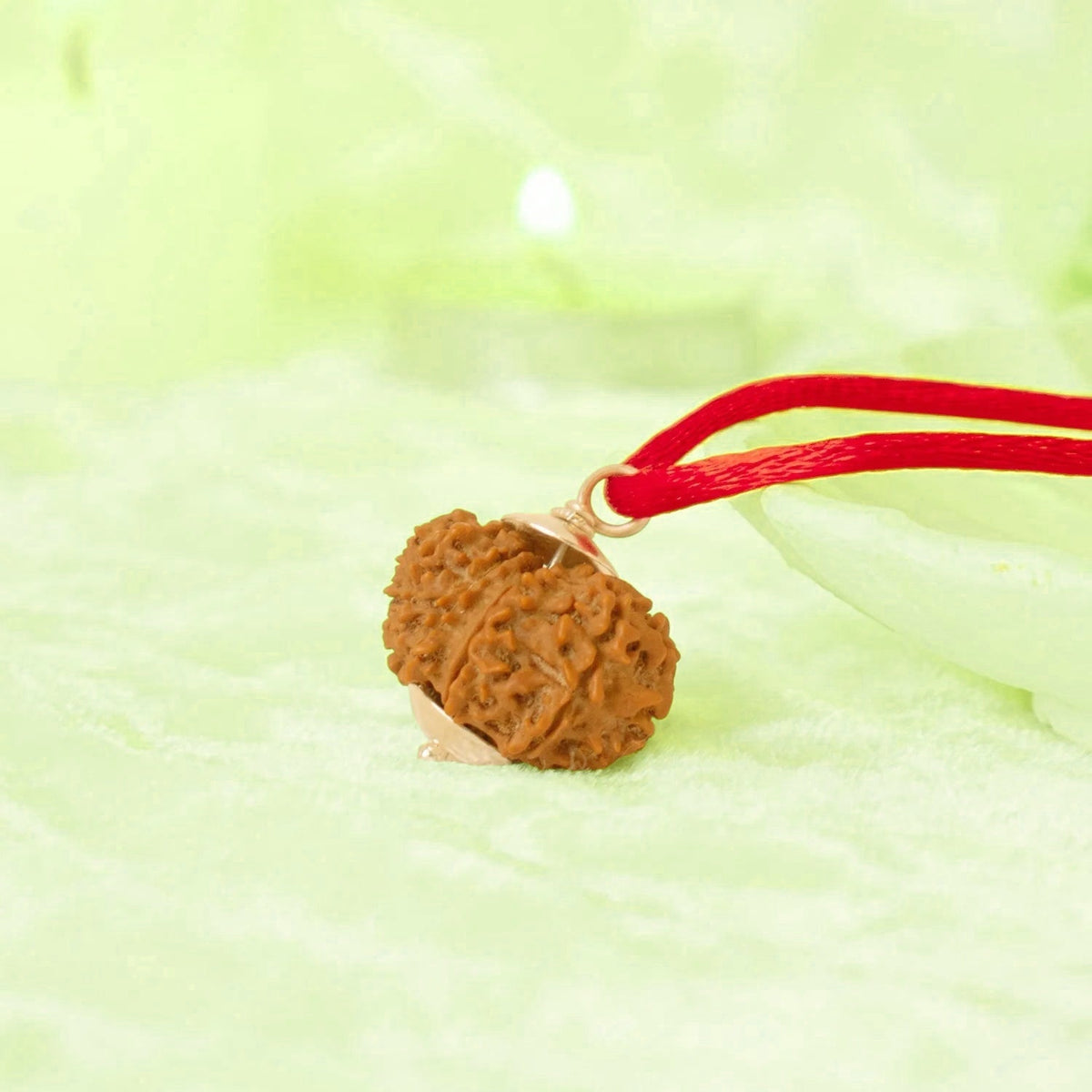 VASTUKOSHA 11 Mukhi Nepal Rudraksha bead pendant on a red thread for meditation and spiritual practice