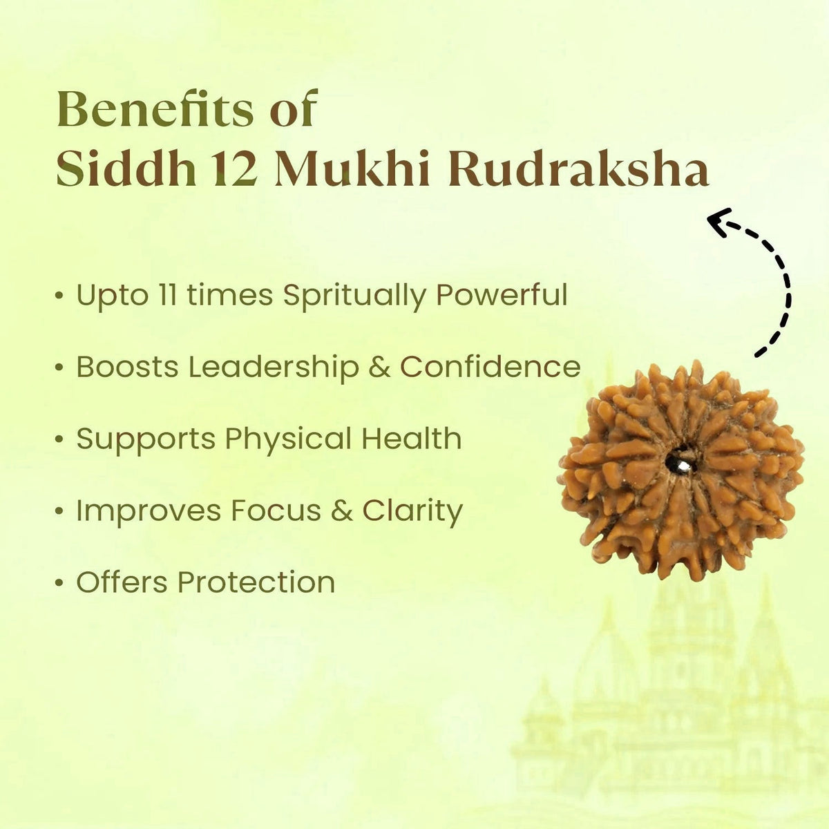VASTUKOSHA 12 Mukhi Nepal origin Rudraksha bead with spiritual benefits listed on a light green background