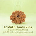 VASTUKOSHA 12 Mukhi Nepal origin Rudraksha bead with natural textured surface, displayed with its sacred Beej Mantra.