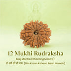 VASTUKOSHA 12 Mukhi Nepal origin Rudraksha bead with natural textured surface, displayed with its sacred Beej Mantra.