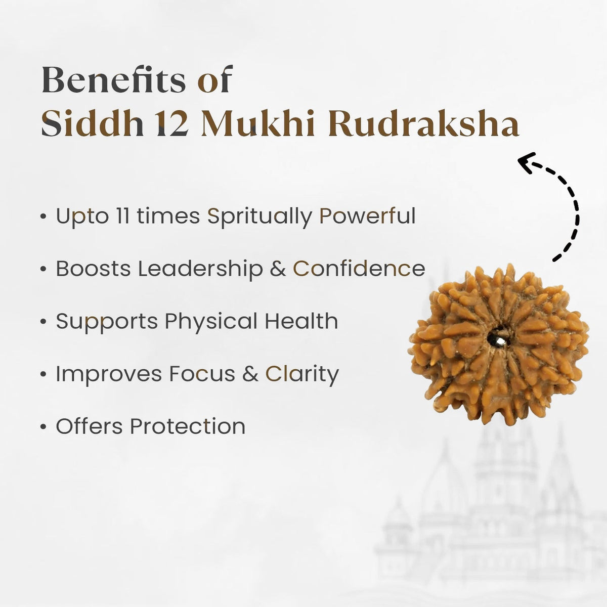 VASTUKOSHA 12 Mukhi Nepal origin Rudraksha bead with spiritual benefits listed on a light background