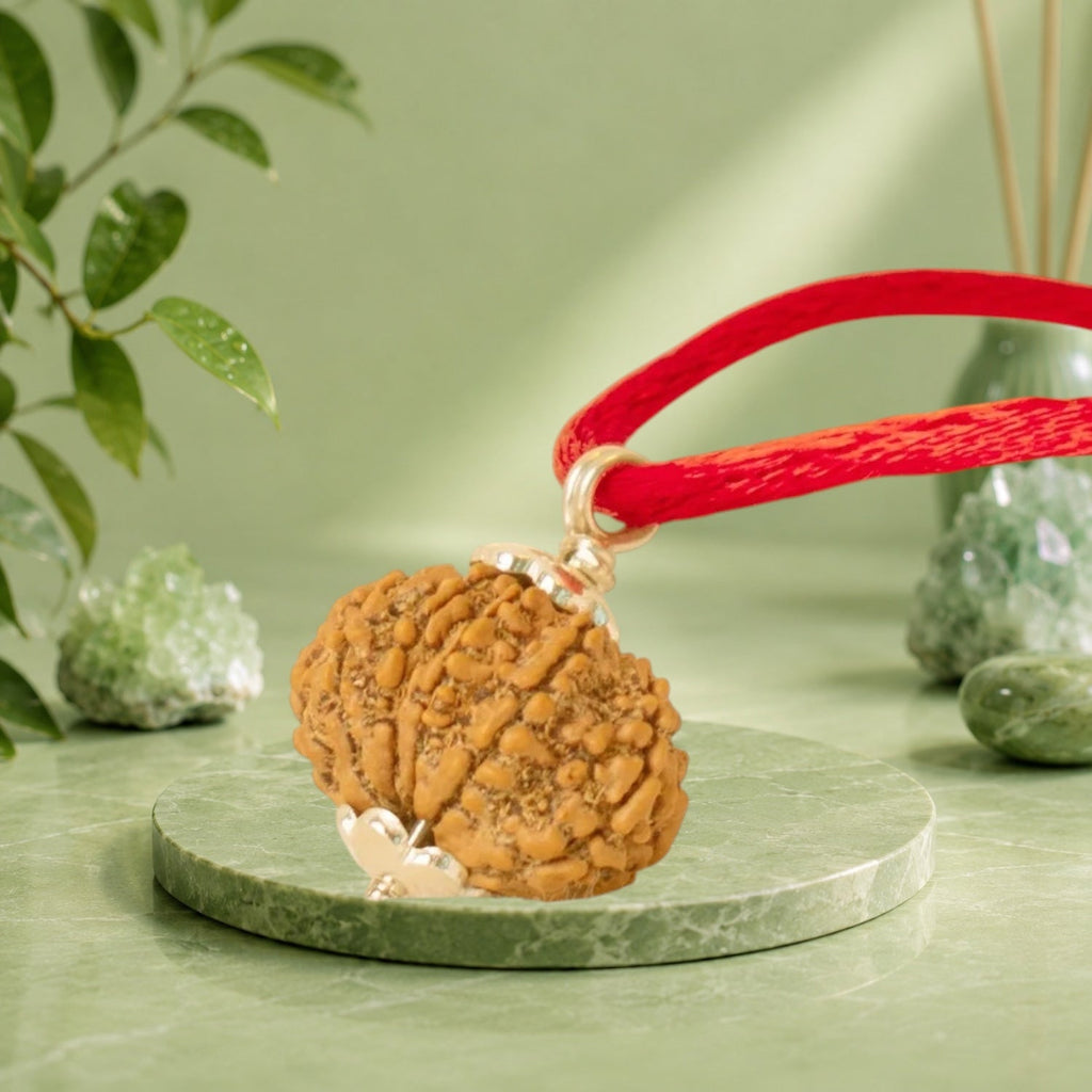 VASTUKOSHA 13 Mukhi Nepal Rudraksha bead pendant on a red cord, displayed on a green stone pedestal.