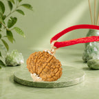 VASTUKOSHA 13 Mukhi Nepal Rudraksha bead pendant on a red cord, displayed on a green stone pedestal.