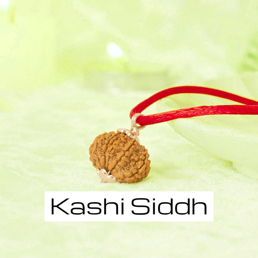 VASTUKOSHA 13 Mukhi Nepal origin Rudraksha bead on a red thread, featuring natural texture and silver-tone cap.