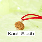 VASTUKOSHA 13 Mukhi Nepal origin Rudraksha bead on a red thread, featuring natural texture and silver-tone cap.