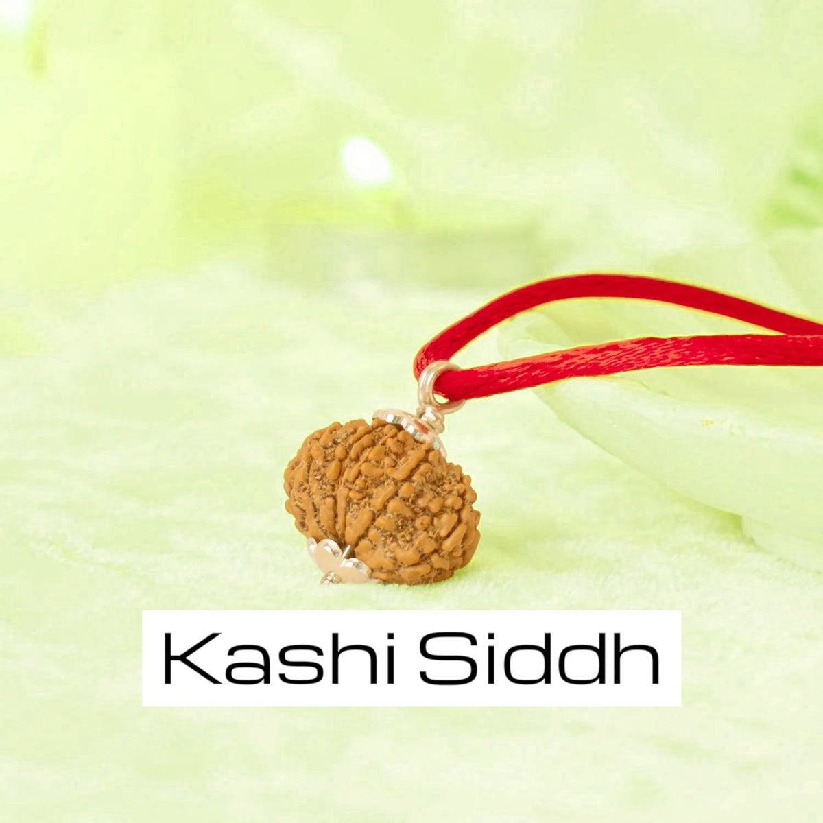 VASTUKOSHA 13 Mukhi Nepal origin Rudraksha bead on a red thread, featuring natural texture and silver-tone cap.