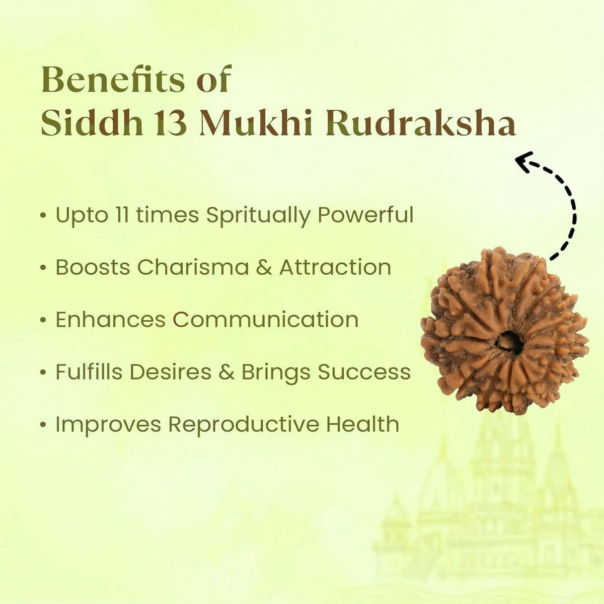 VASTUKOSHA 13 Mukhi Nepal origin Rudraksha bead with spiritual benefits listed on a light background