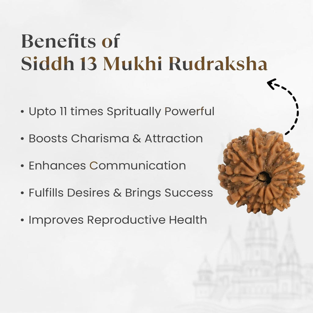 VASTUKOSHA 13 Mukhi Nepal origin Rudraksha bead with text listing spiritual benefits and charisma enhancement
