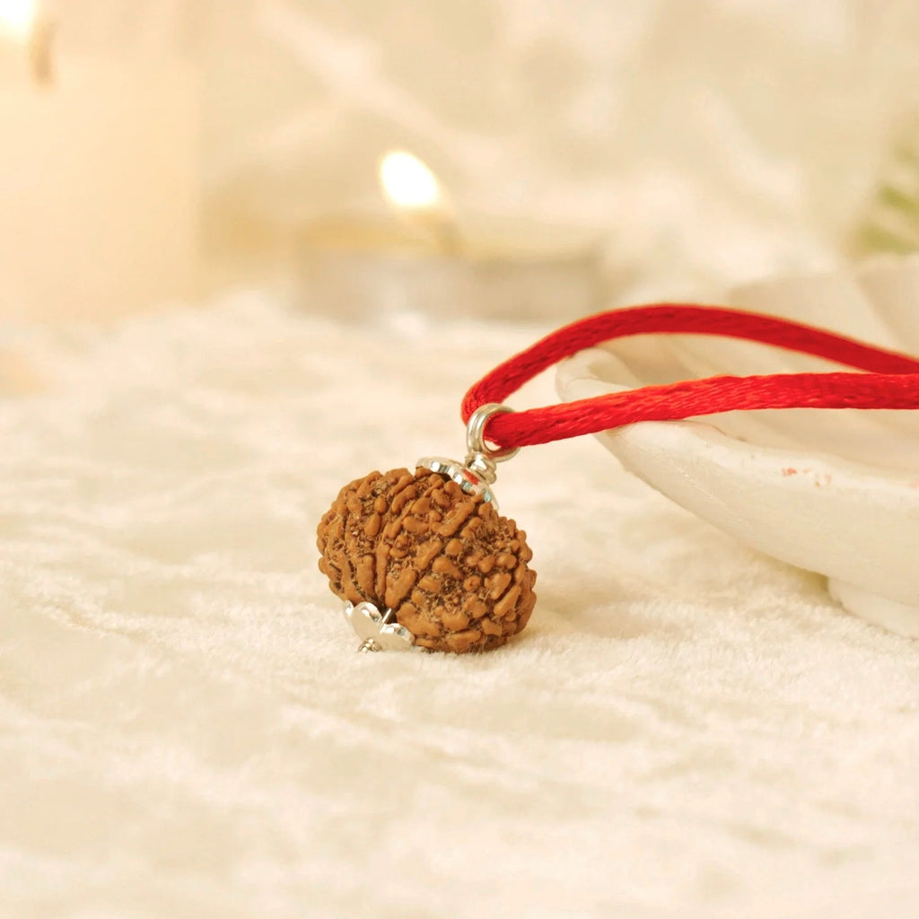 VASTUKOSHA 13 Mukhi Nepal Rudraksha bead on a red cord, featuring natural texture and silver-tone metal cap.
