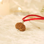 VASTUKOSHA 13 Mukhi Nepal Rudraksha bead on a red cord, featuring natural texture and silver-tone metal cap.