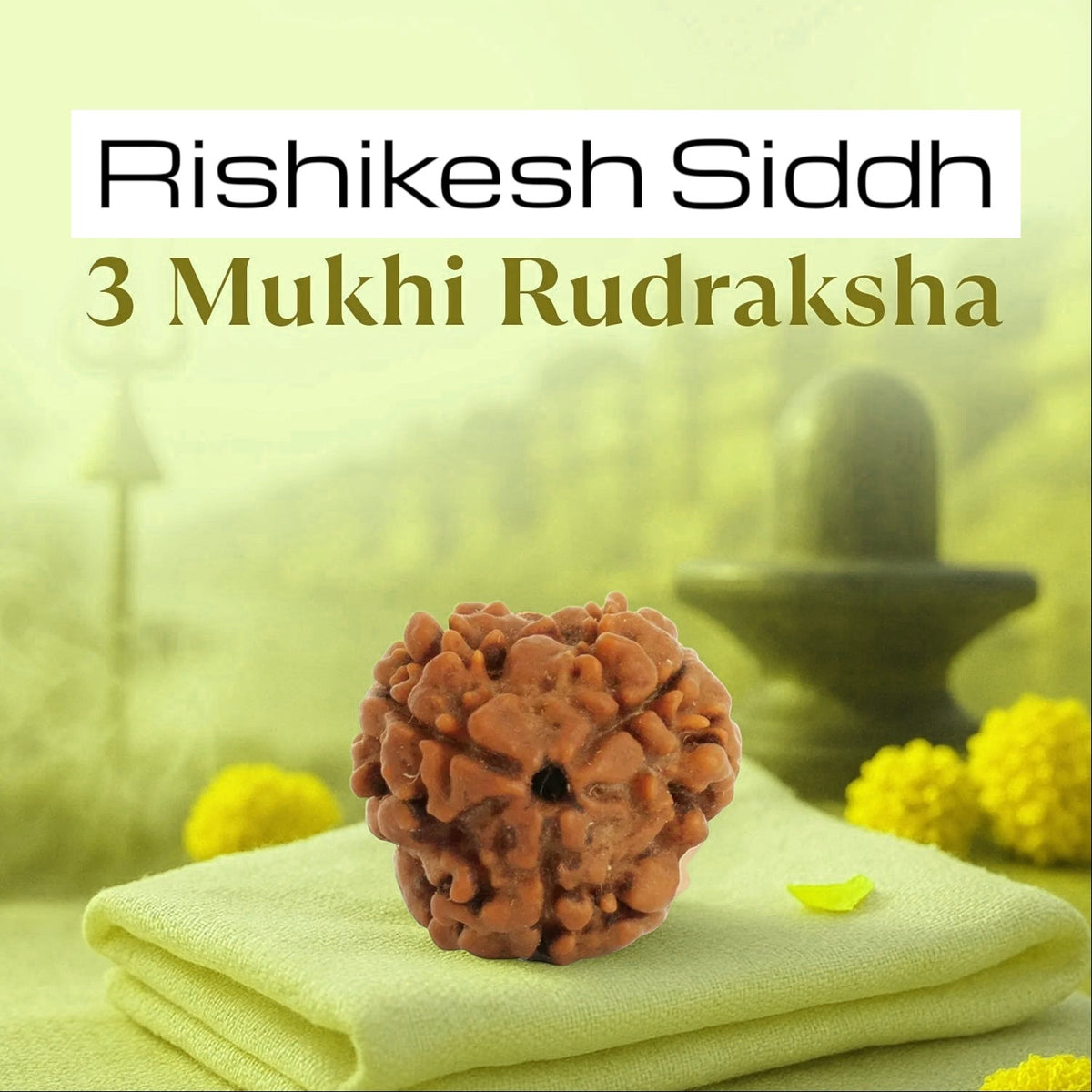 VASTUKOSHA 3 Mukhi Rudraksha bead from Nepal with natural textured brown surface for spiritual meditation practice