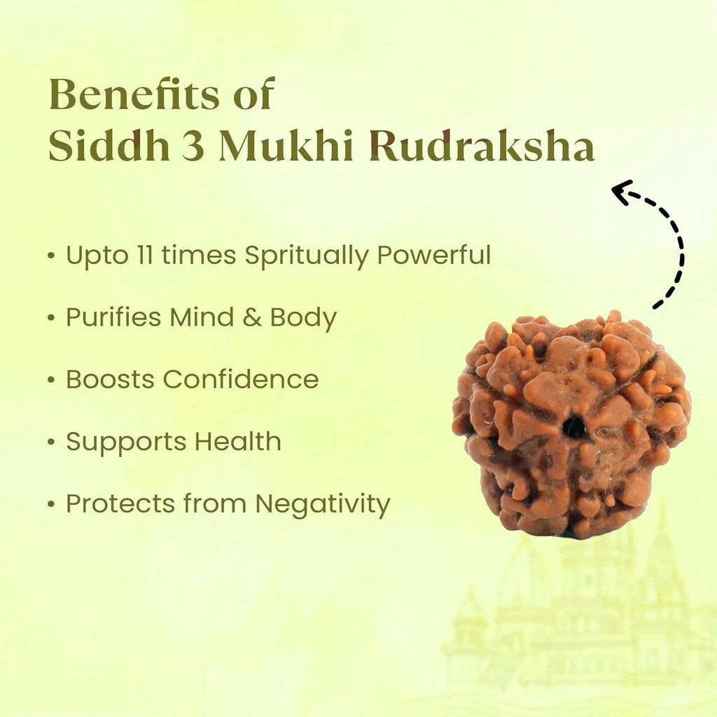 VASTUKOSHA 3 Mukhi Nepal origin Rudraksha bead with spiritual benefits listed on a light green background.