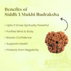 VASTUKOSHA 3 Mukhi Nepal origin Rudraksha bead with spiritual benefits listed on a light green background.