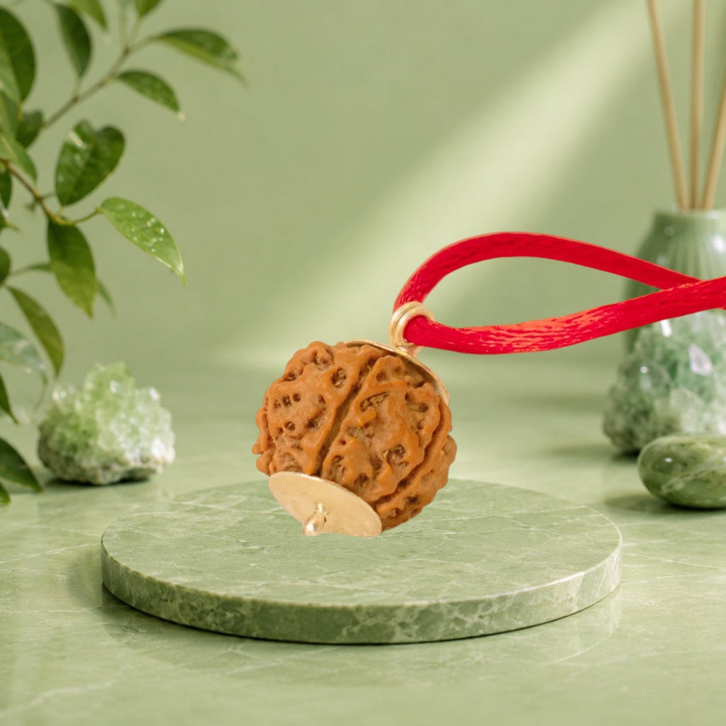 VASTUKOSHA 4 Mukhi Nepal origin Rudraksha bead pendant on a red cord, blessed and used for meditation.