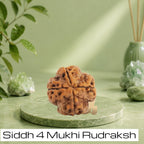 VASTUKOSHA Siddh 4 Mukhi Nepal origin Rudraksha bead on a green stone pedestal for meditation and spiritual practice.