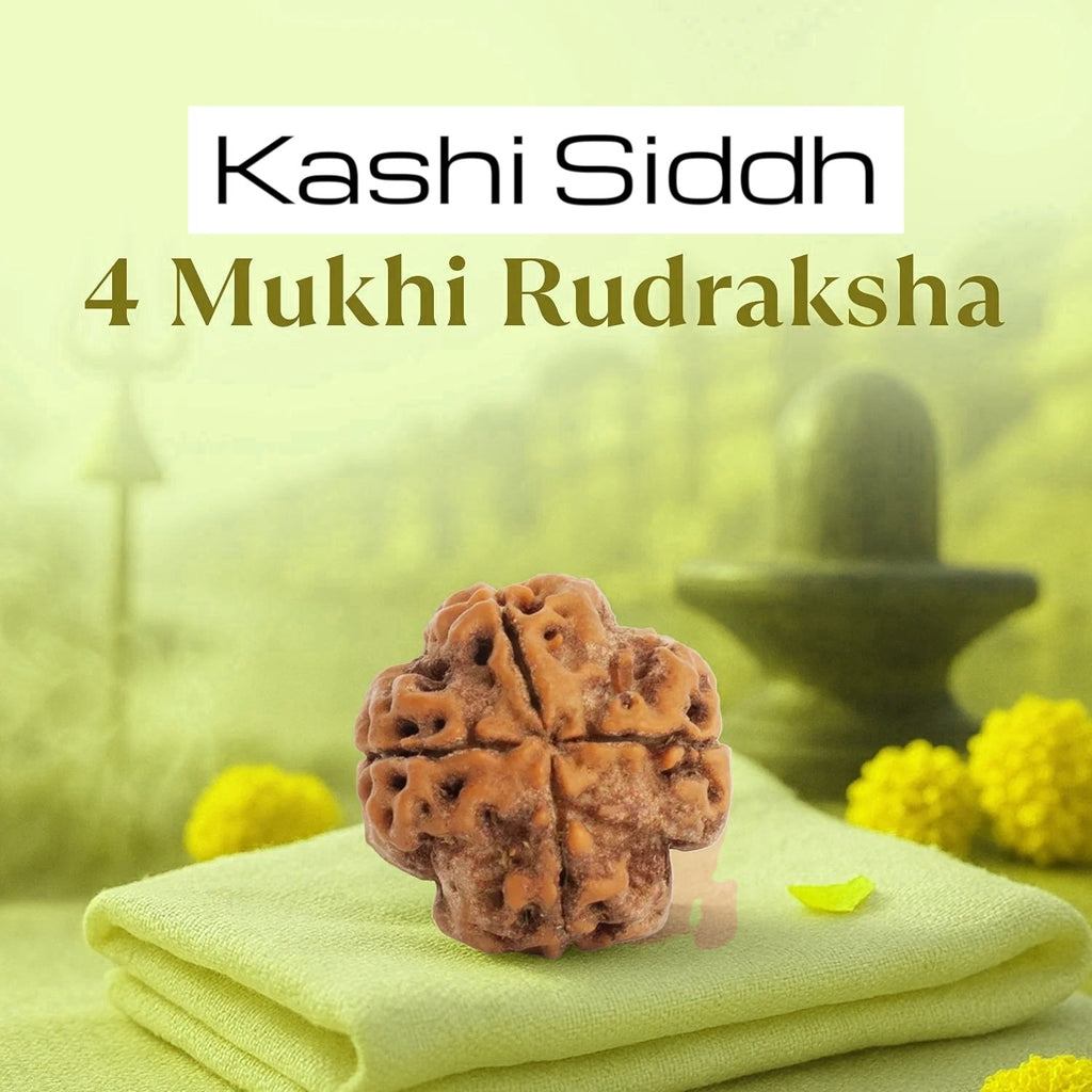 VASTUKOSHA 4 Mukhi Nepal origin Rudraksha bead with natural brown texture for meditation and spiritual practice