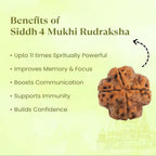 VASTUKOSHA Rameshwaram Siddh 4 Mukhi Nepal Rudraksha bead showing natural texture and four distinct faces