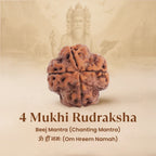 VASTUKOSHA 4 Mukhi Rudraksha bead from Nepal with four natural faces, displayed against a Lord Brahma background.