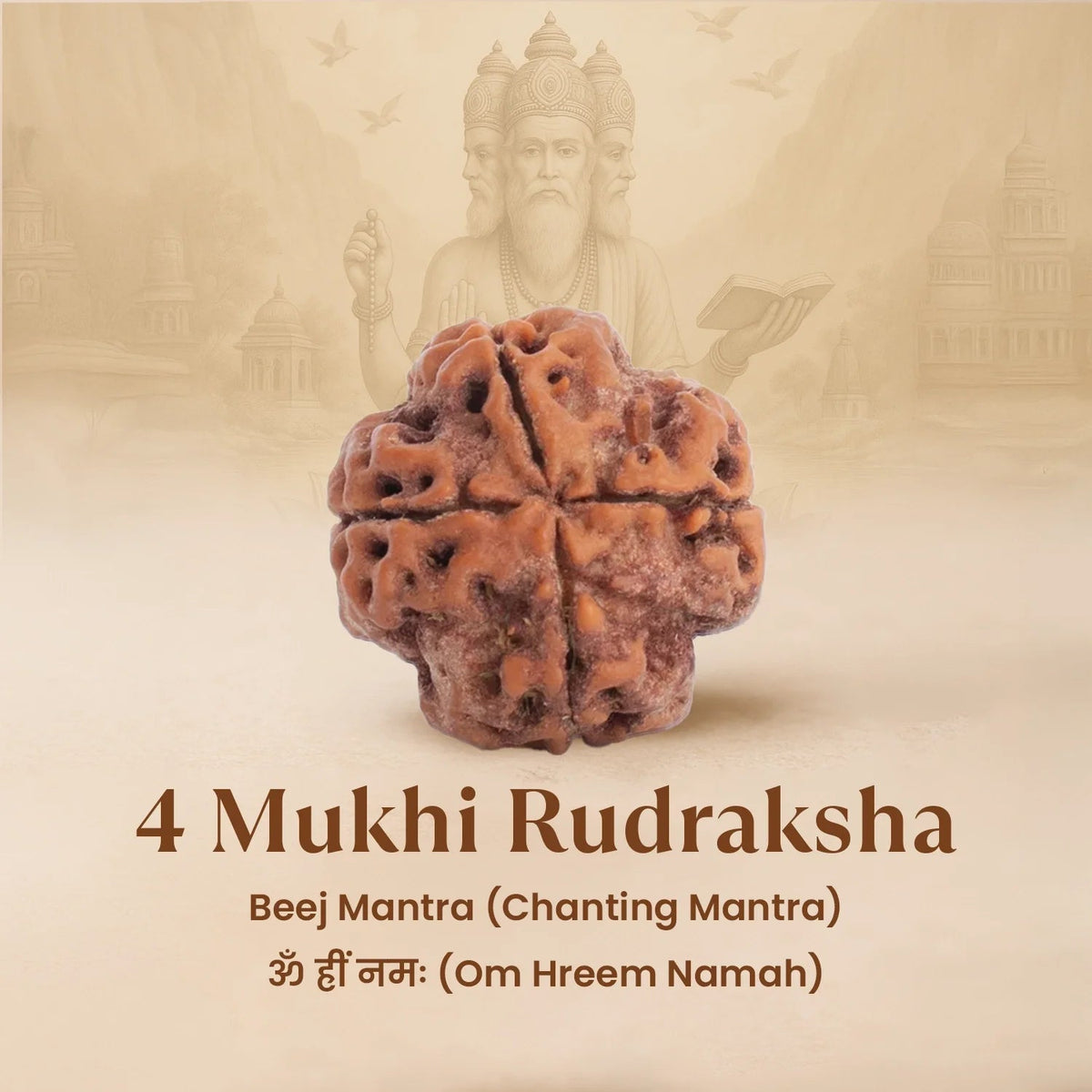 VASTUKOSHA 4 Mukhi Rudraksha bead from Nepal with four natural faces, displayed against a Lord Brahma background.