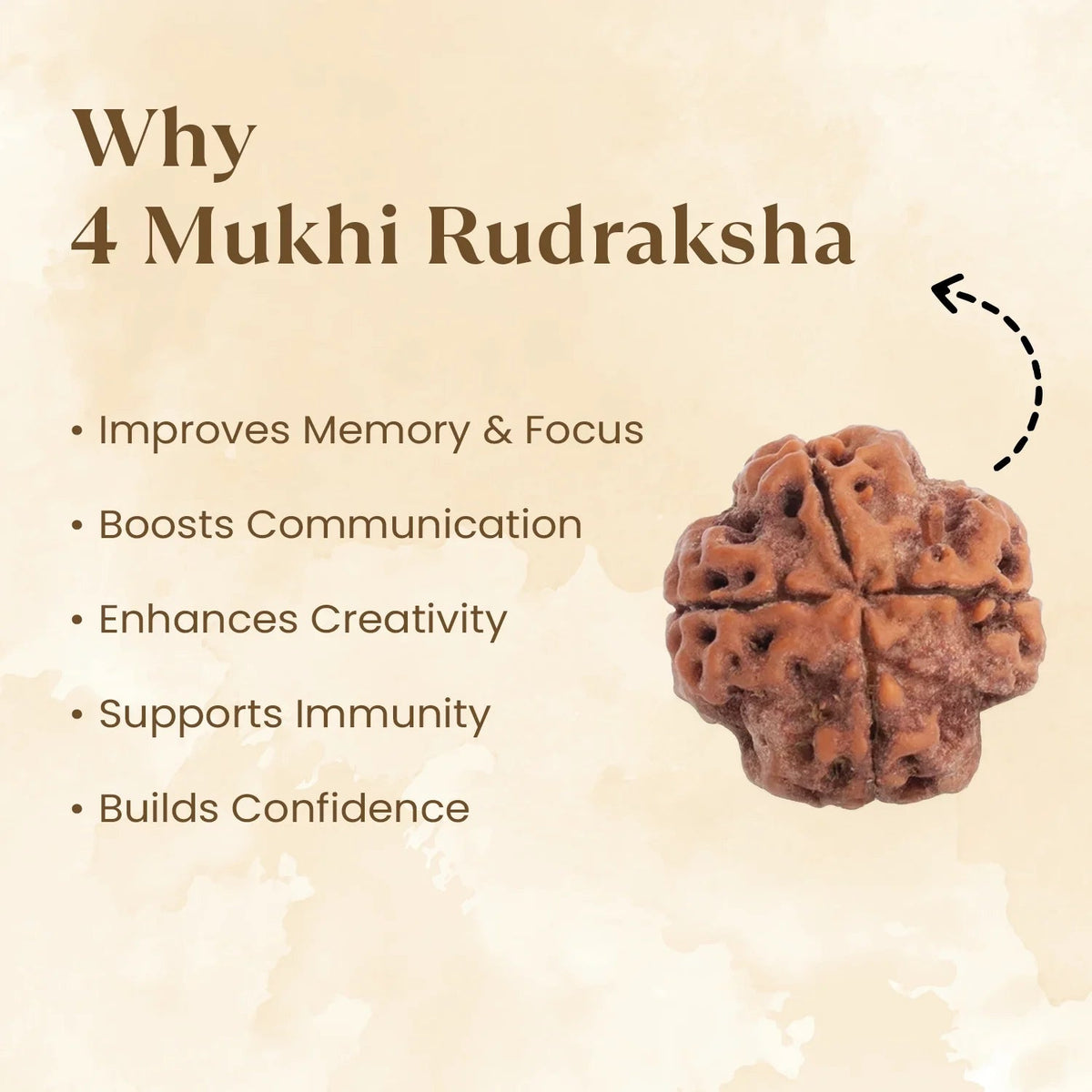 VASTUKOSHA 4 Mukhi Rudraksha bead from Nepal with four natural faces, displayed on a textured beige background.