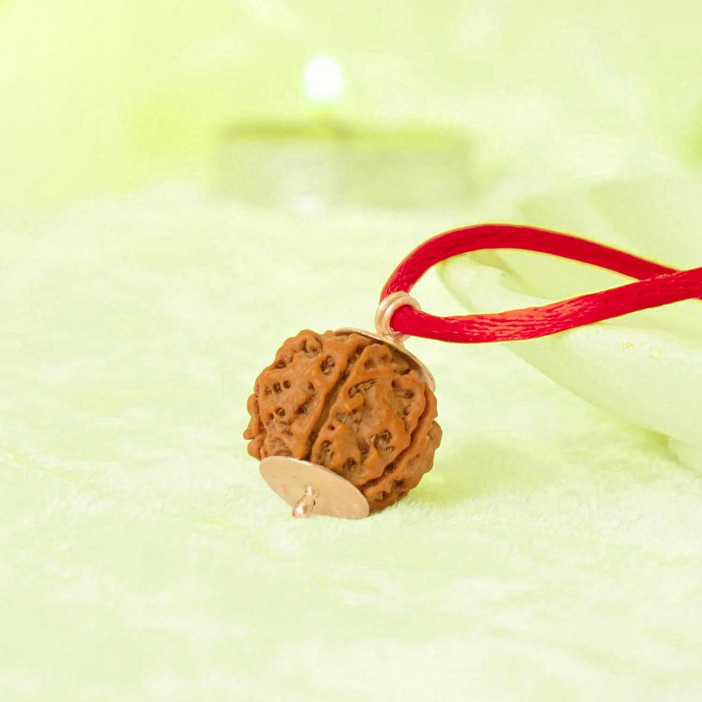 Vastukosha Nepal origin 4 Mukhi Rudraksha bead pendant on a red thread against a soft green background