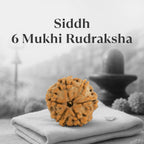 VASTUKOSHA 6 Mukhi Nepal origin Rudraksha bead with natural deep ridges, blessed and Siddh for spiritual practice.