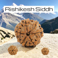 VASTUKOSHA 6 Mukhi Nepal origin Rudraksha bead with natural textured surface, set against a Himalayan mountain backdrop.