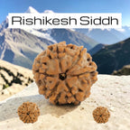 VASTUKOSHA 6 Mukhi Nepal origin Rudraksha bead with natural textured surface, set against a Himalayan mountain backdrop.