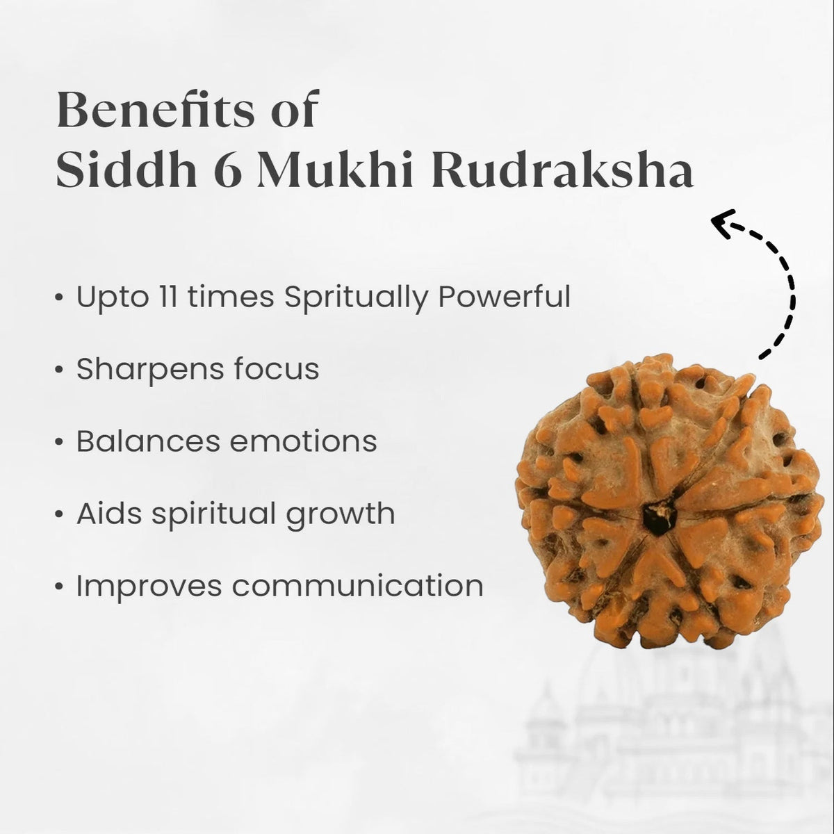VASTUKOSHA 6 Mukhi Nepal origin Rudraksha bead with natural texture, used for meditation and spiritual focus.