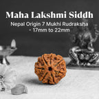 VASTUKOSHA 7 Mukhi Nepal origin Rudraksha bead with natural texture, used for spiritual practice and prosperity.