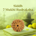 VASTUKOSHA Nepal origin 7 Mukhi Rudraksha bead with natural brown texture resting on a light green cloth