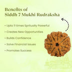 VASTUKOSHA 7 Mukhi Nepal Rudraksha bead with seven natural faces, displayed on a light green informational background.