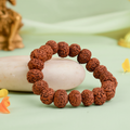 VASTUKOSHA 7 Mukhi Rudraksha bead bracelet for spiritual practice and meditation on a light green background.